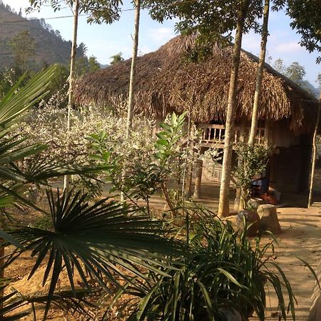 Sa House Bac Ha Διαμέρισμα Εξωτερικό φωτογραφία