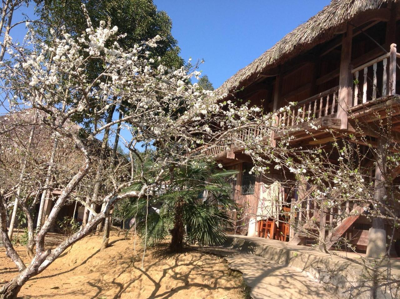 Sa House Bac Ha Διαμέρισμα Εξωτερικό φωτογραφία